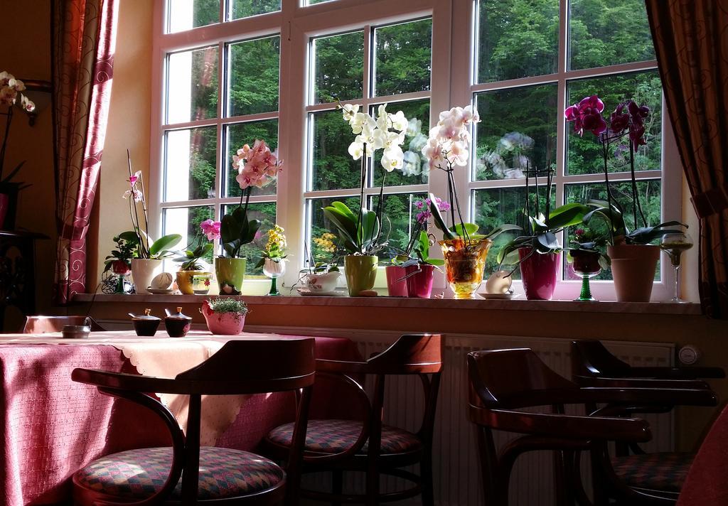 Rhön Hotel Waldcafé St. Georg Staatsbad Brückenau Extérieur photo